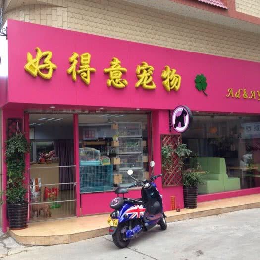 好得意宠物店:佛山市顺德区