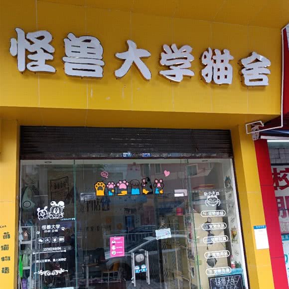 怪兽大学猫舍:佛山市顺德区