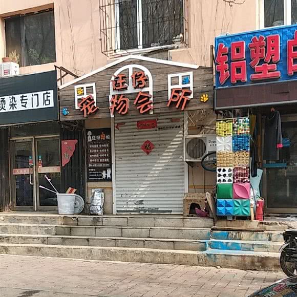 汪仔宠物会所(和平店):沈阳市和平区砂山附近