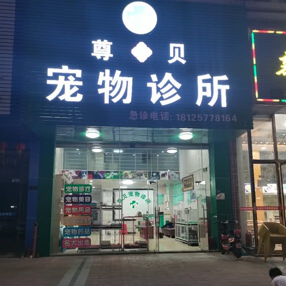 尊贝宠物狗诊所:佛山市顺德区