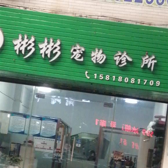 彬彬宠物诊所:佛山市顺德区