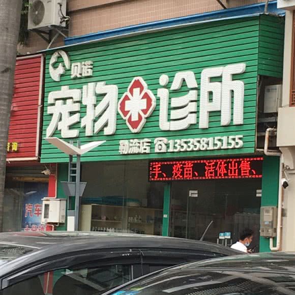 贝诺宠物诊所(勒流店):佛山市顺德区