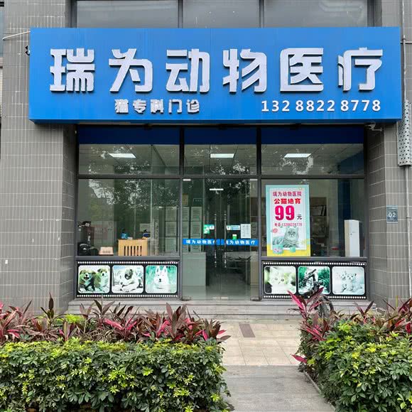 瑞为动物医疗·猫专科门诊:佛山市顺德区