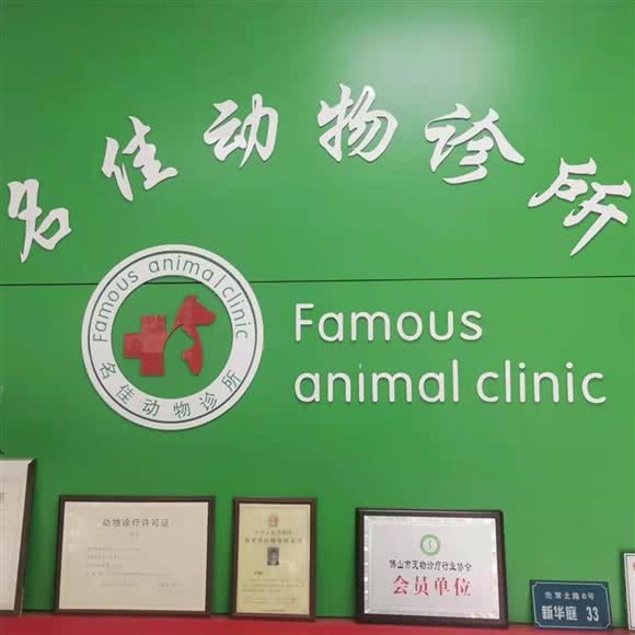 名尽如人意动物诊所:佛山市顺德区