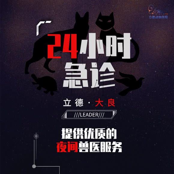立德动物医院·24H(顺德中心分院):佛山市顺德区