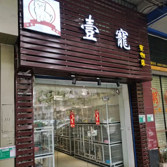 壹宠宠物店:江门市新会区