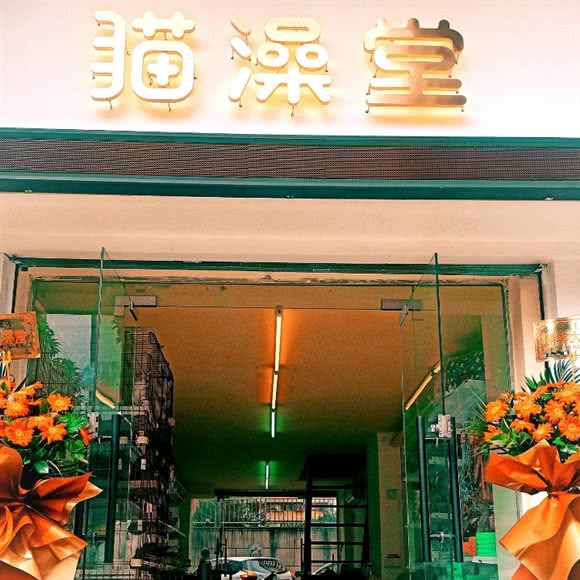 猫澡堂宠物美容店(侨兴北石牛头店):江门市新会区