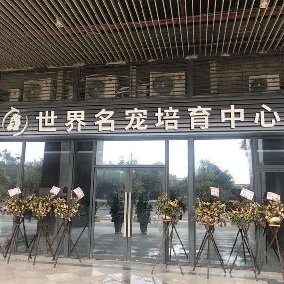 世界名宠培育中心:北京城区朝阳区双桥附近