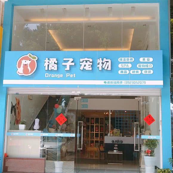 橘子宠物:江门市台山市