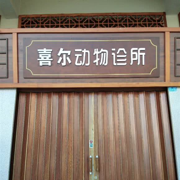喜尔动物诊所:江门市台山市