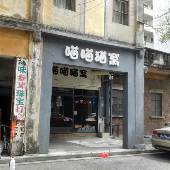 喵喵猫窝:江门市开平市
