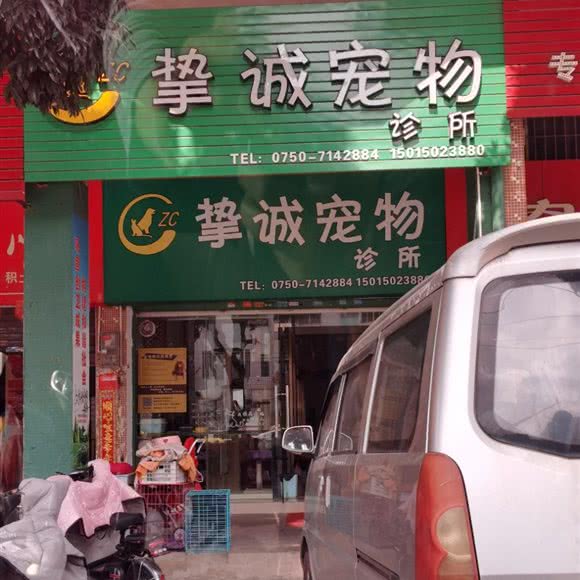 挚诚宠物:江门市开平市