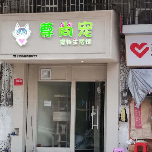 尊尚宠:江门市开平市
