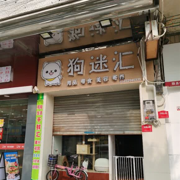 狗迷汇:江门市开平市
