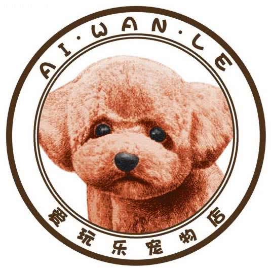 爱玩乐宠物店:沈阳市沈河区中街/故宫附近