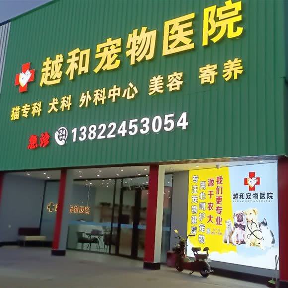 越和宠物医院:江门市开平市