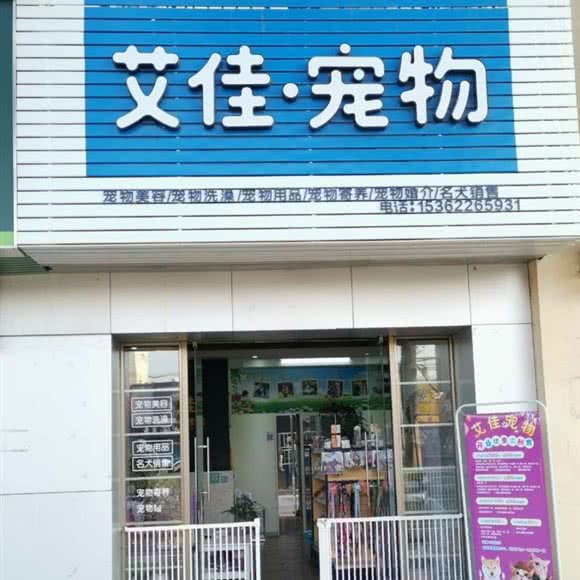 艾佳·宠物:江门市鹤山市