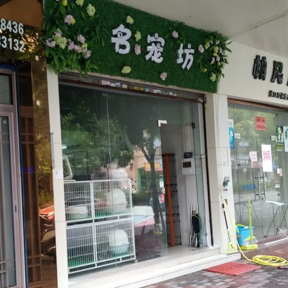 名宠坊:江门市鹤山市