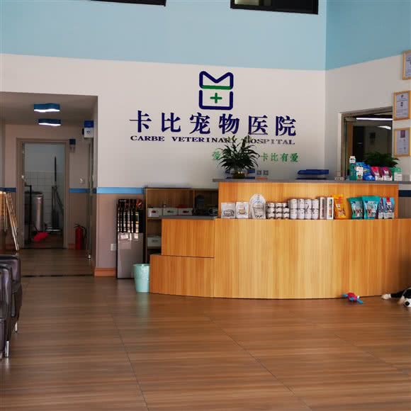 卡比宠物医院:江门市鹤山市