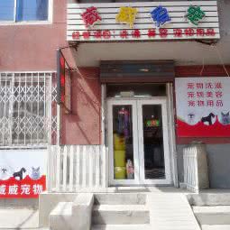 威威爱宠:沈阳市沈河区奉天街沿线附近