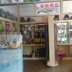 金贝宠物诊所:江门市鹤山市