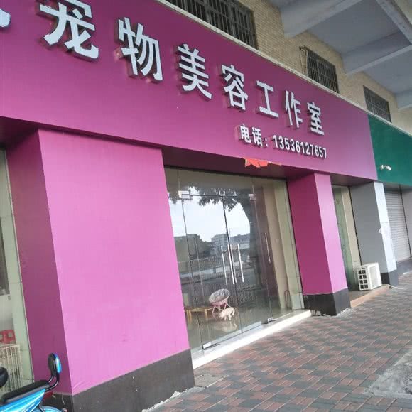 雪儿宠物美容工作室:江门市恩平市