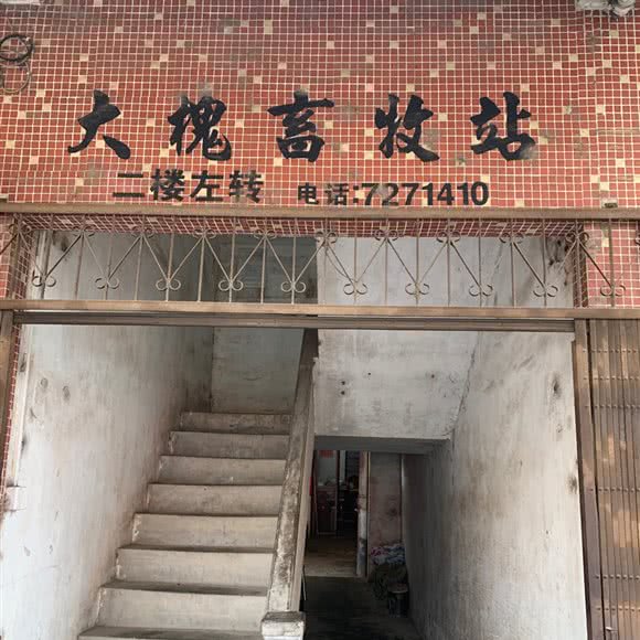 恩平市大槐畜牧站:江门市恩平市