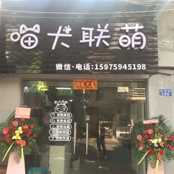喵犬联萌宠物店:湛江市赤坎区