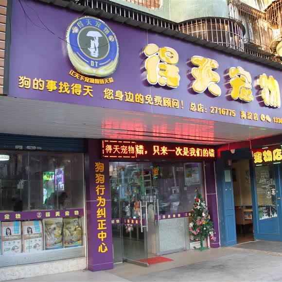 得天宠物店(海淀店):湛江市霞山区