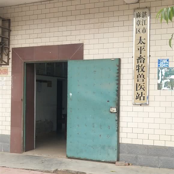 太平畜牧兽医站:湛江市麻章区