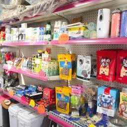 美美宠儿宠物店:沈阳市沈河区奉天街沿线附近