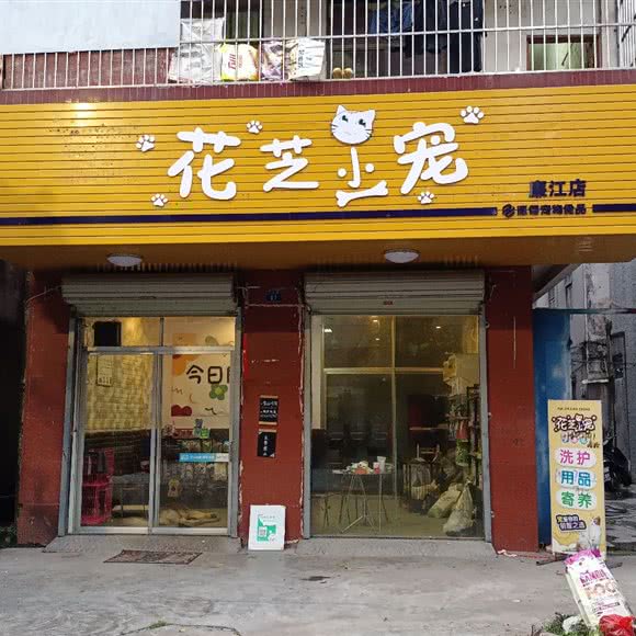 花芝小宠(廉江店):湛江市廉江市