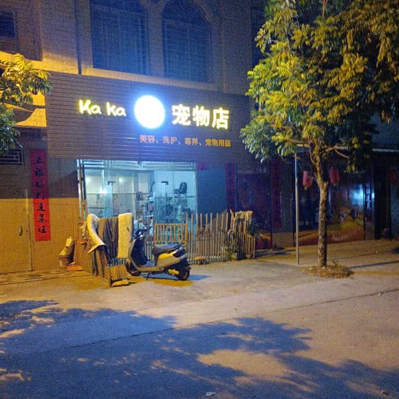 kaokao宠物店:湛江市廉江市
