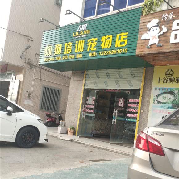 力狼狗狗培训宠物店:湛江市吴川市