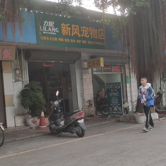 新风面包店:湛江市吴川市