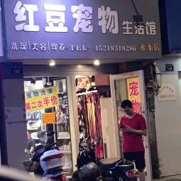 红豆宠物生活馆(水东店):茂名市电白区