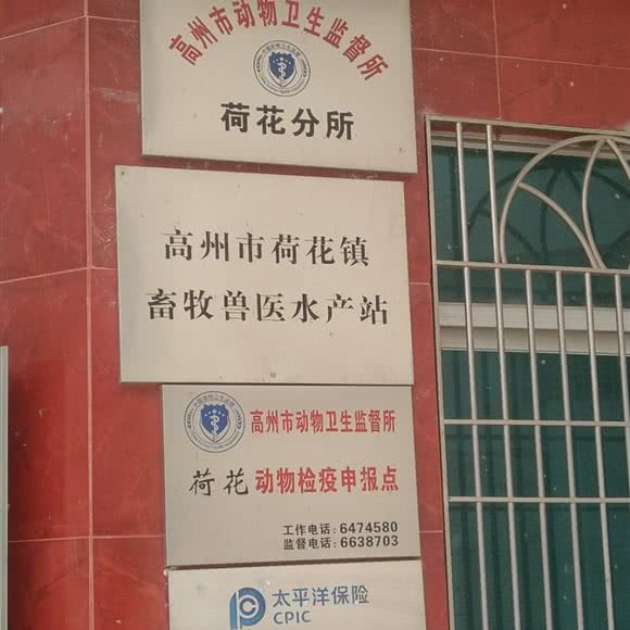 高州市荷花畜牧兽医站:茂名市高州市