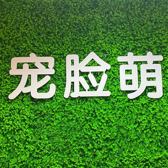 宠脸萌(乐栋300店):北京城区朝阳区双桥附近