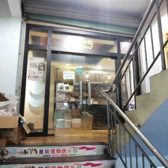 星辰宠物俱乐部:肇庆市高要区