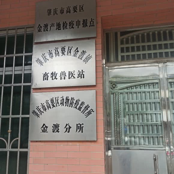 高要市金渡镇畜牧兽医站:肇庆市高要区