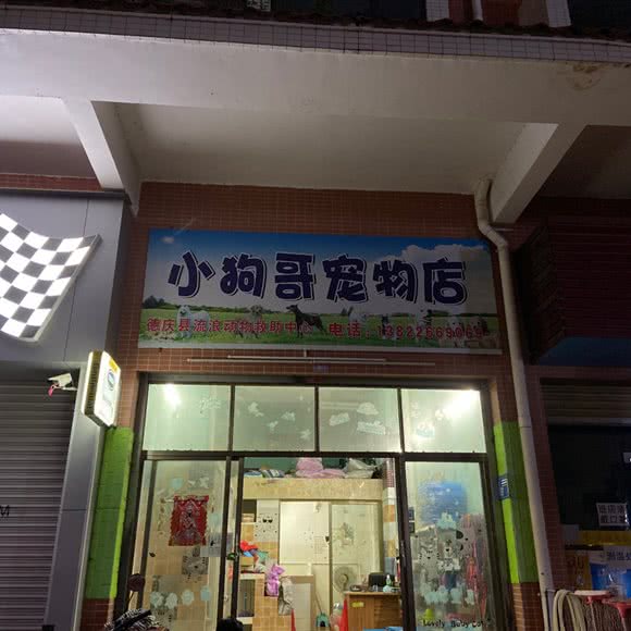 小狗哥宠物店:肇庆市德庆县