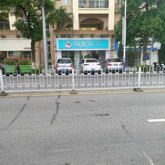 喵着你生活馆:肇庆市四会市
