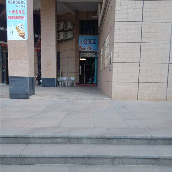 名宠汇:惠州市惠阳区