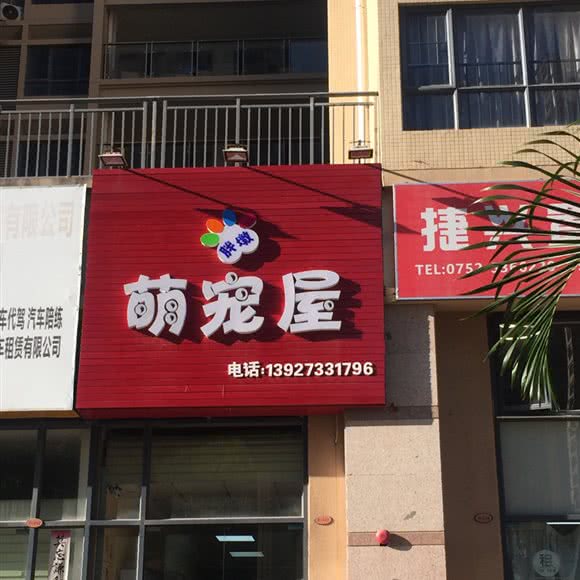 胖墩萌宠屋:惠州市惠阳区