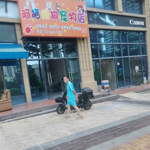 阿猫阿狗宠物店:惠州市惠阳区