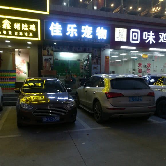 佳乐宠物:惠州市惠阳区