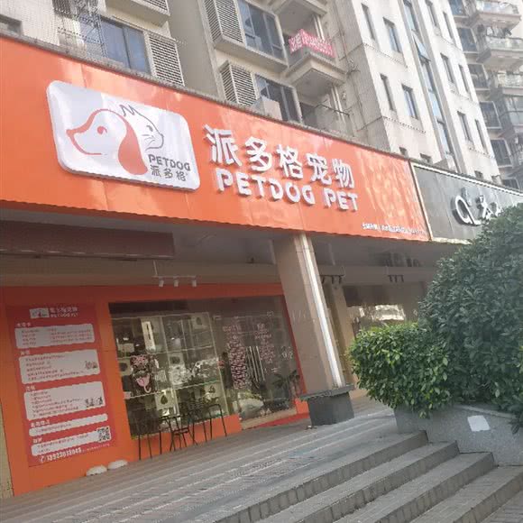 派多格宠物:惠州市惠阳区