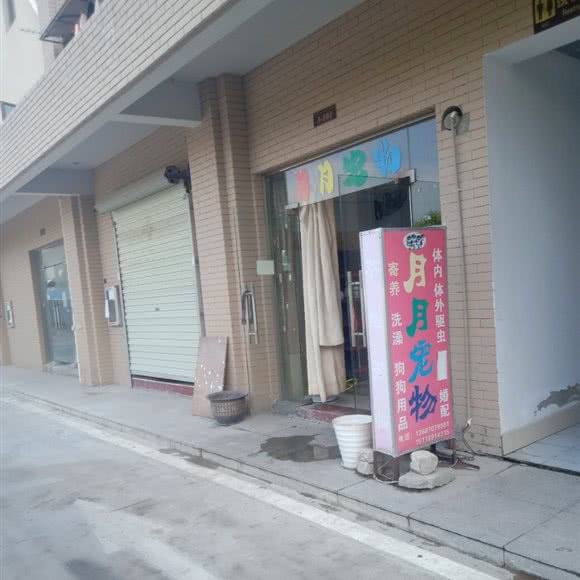 月月宠物:惠州市惠阳区