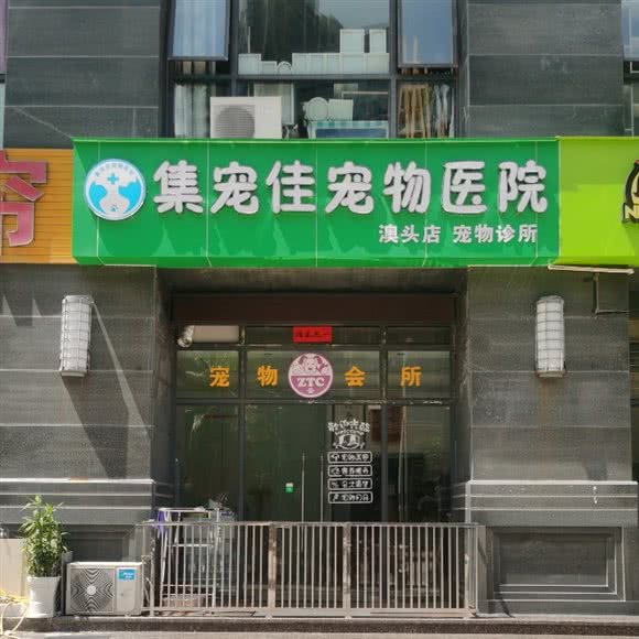 集宠佳宠物:惠州市惠阳区
