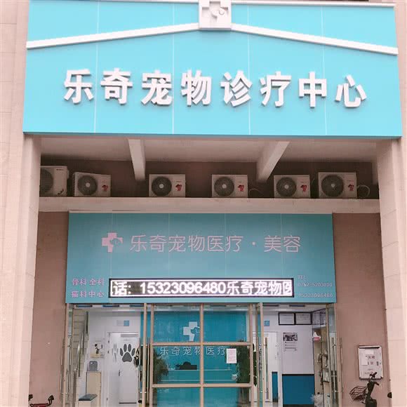 乐奇宠物医院:惠州市惠阳区